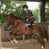 Sidesaddle Clinic